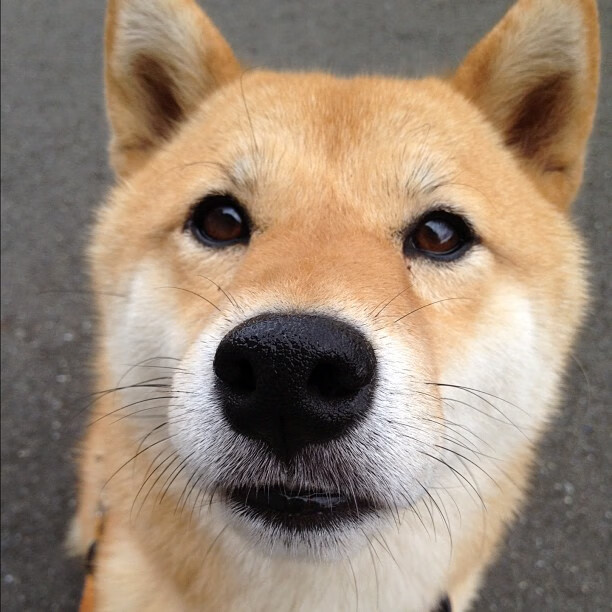 _多彩彩跑盛典:运动与艺术的视觉盛宴_,多彩体育