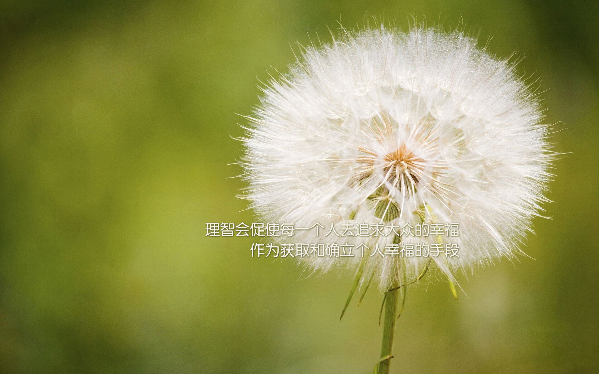 _网球运动普及:业余赛事火爆开启_,网球职业比赛