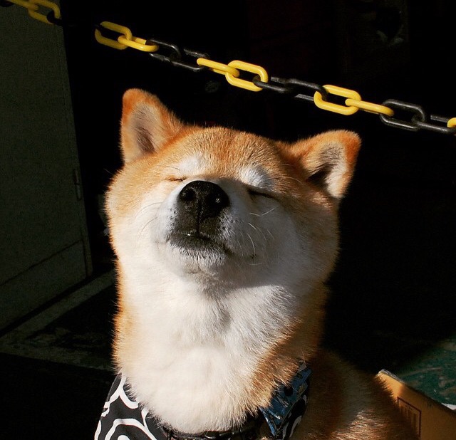 _美网颁奖典礼:小威廉姆斯首次获得冠军,终结多年的等待_,美网颁奖视频