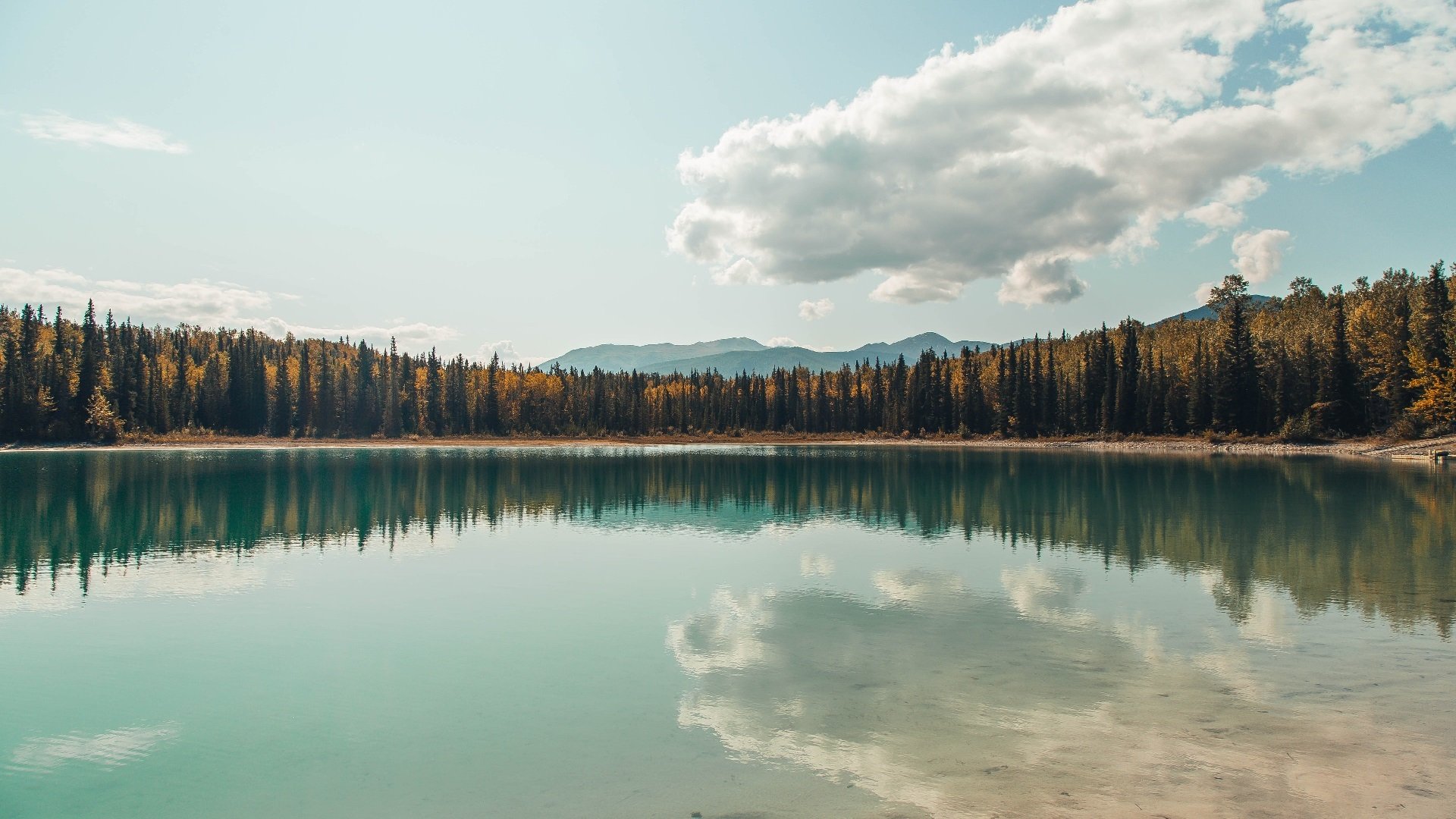 城市极限光影跑,灯火点缀中感受运动魅力,极限光影传媒