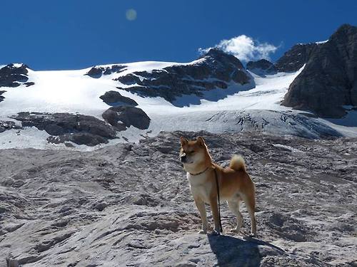 篮球青训基地引入高科技训练设施,篮球青训基地引入高科技训练设施的意义