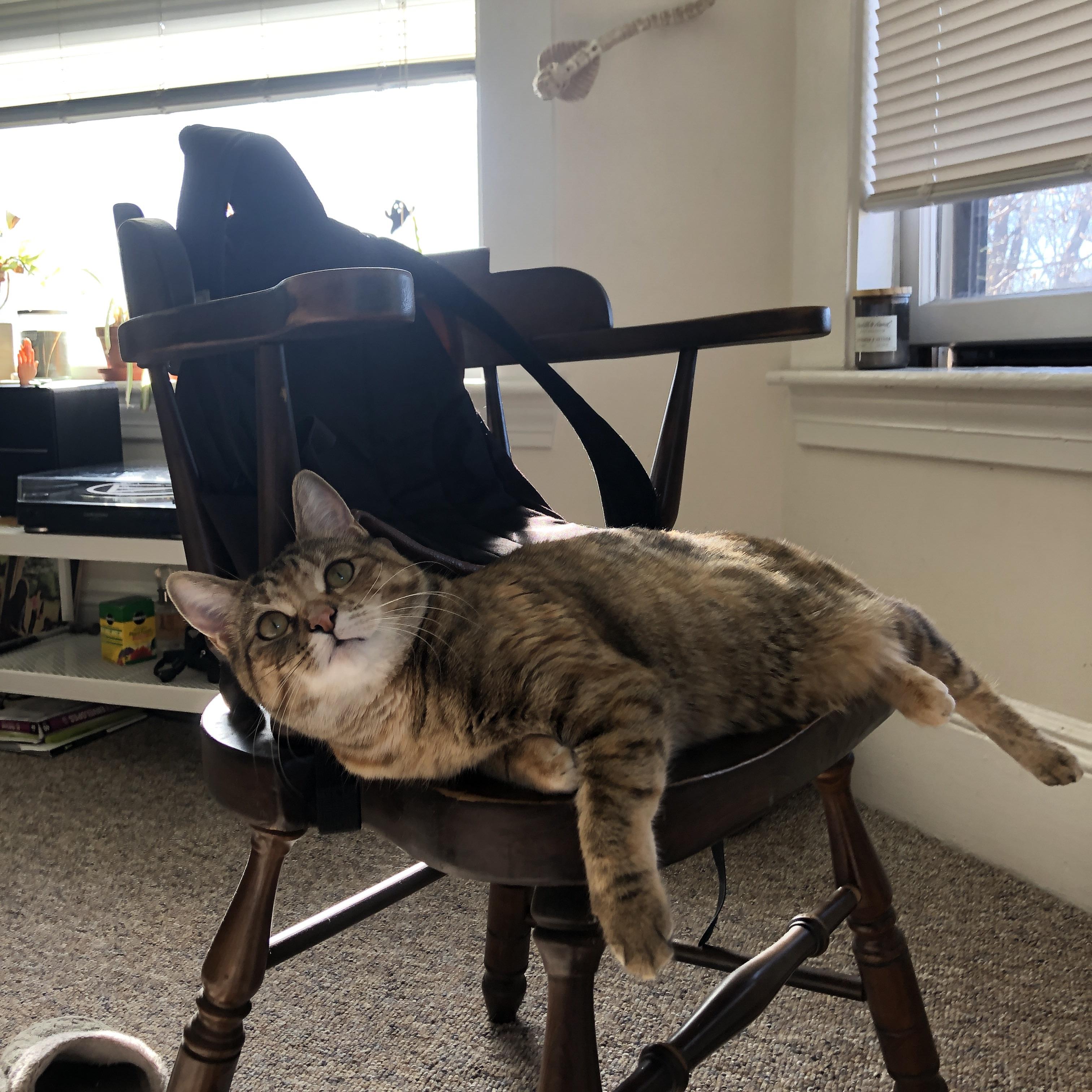 逆天表现!曼城新星成为比赛MVP,曼城新队长是谁