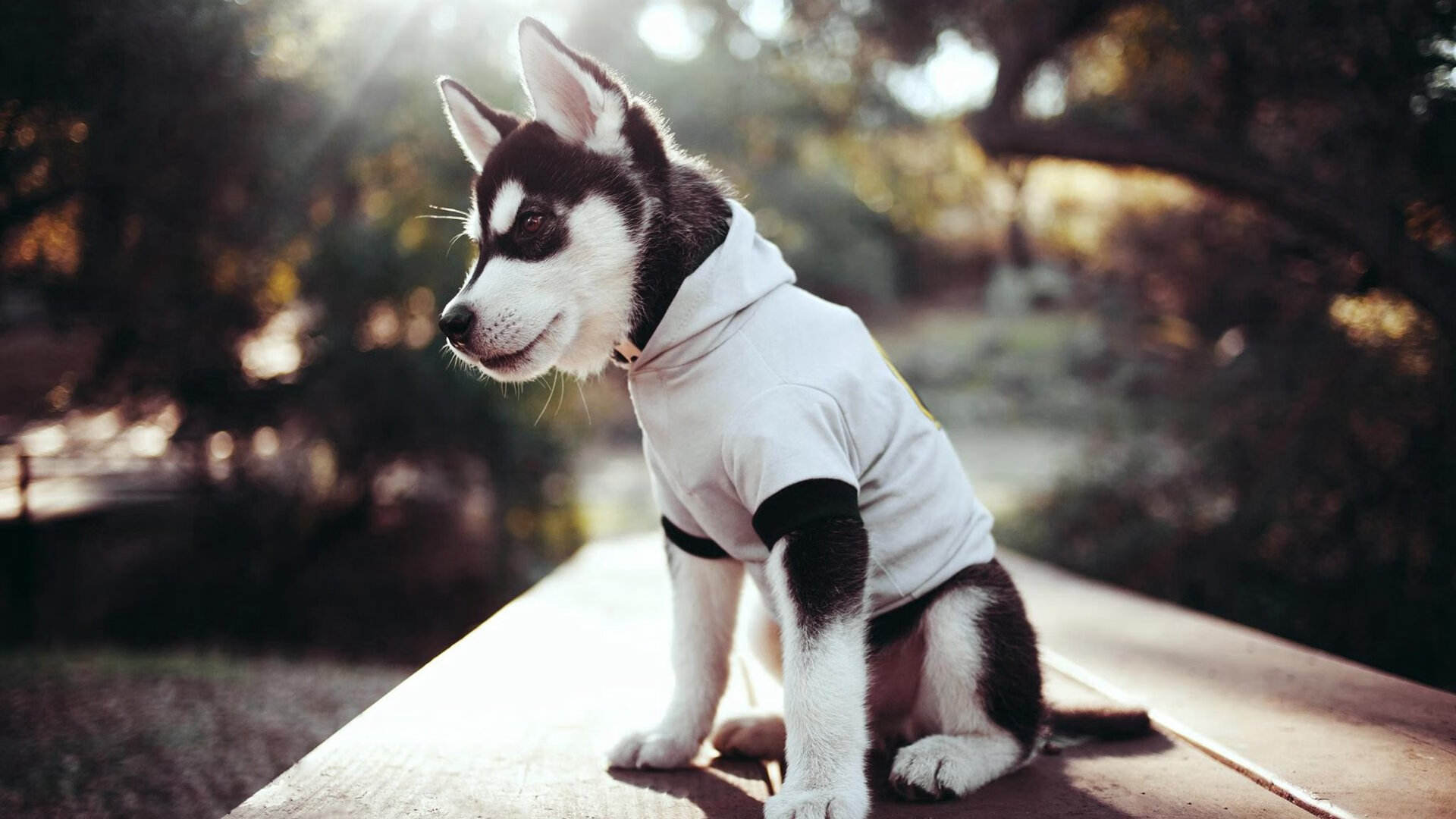 逆天表现!曼城新星成为比赛MVP,曼城新队长是谁