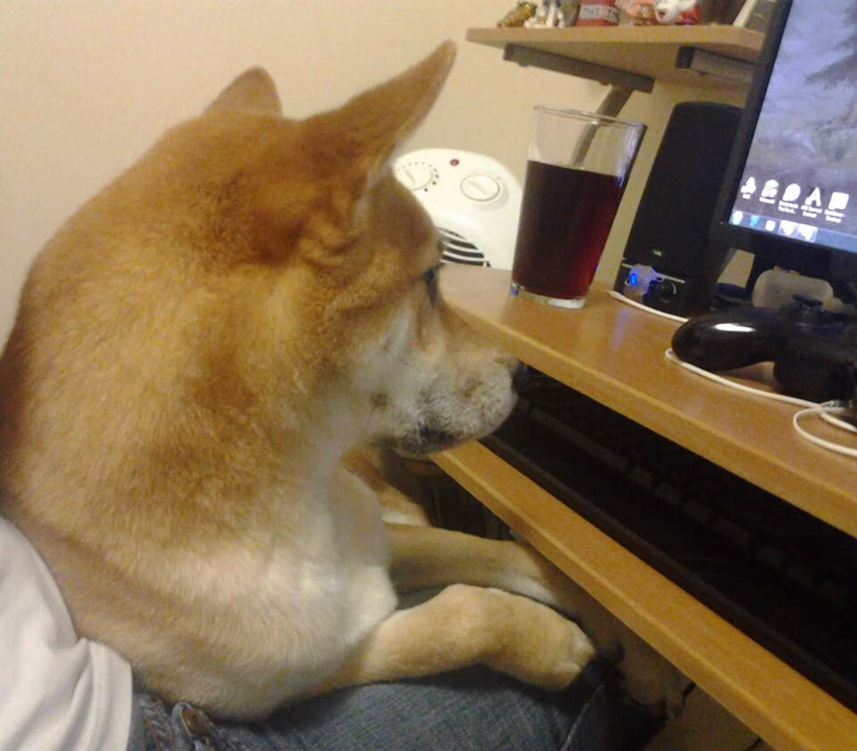 C9举办线下粉丝见面会,九月粉丝见面会