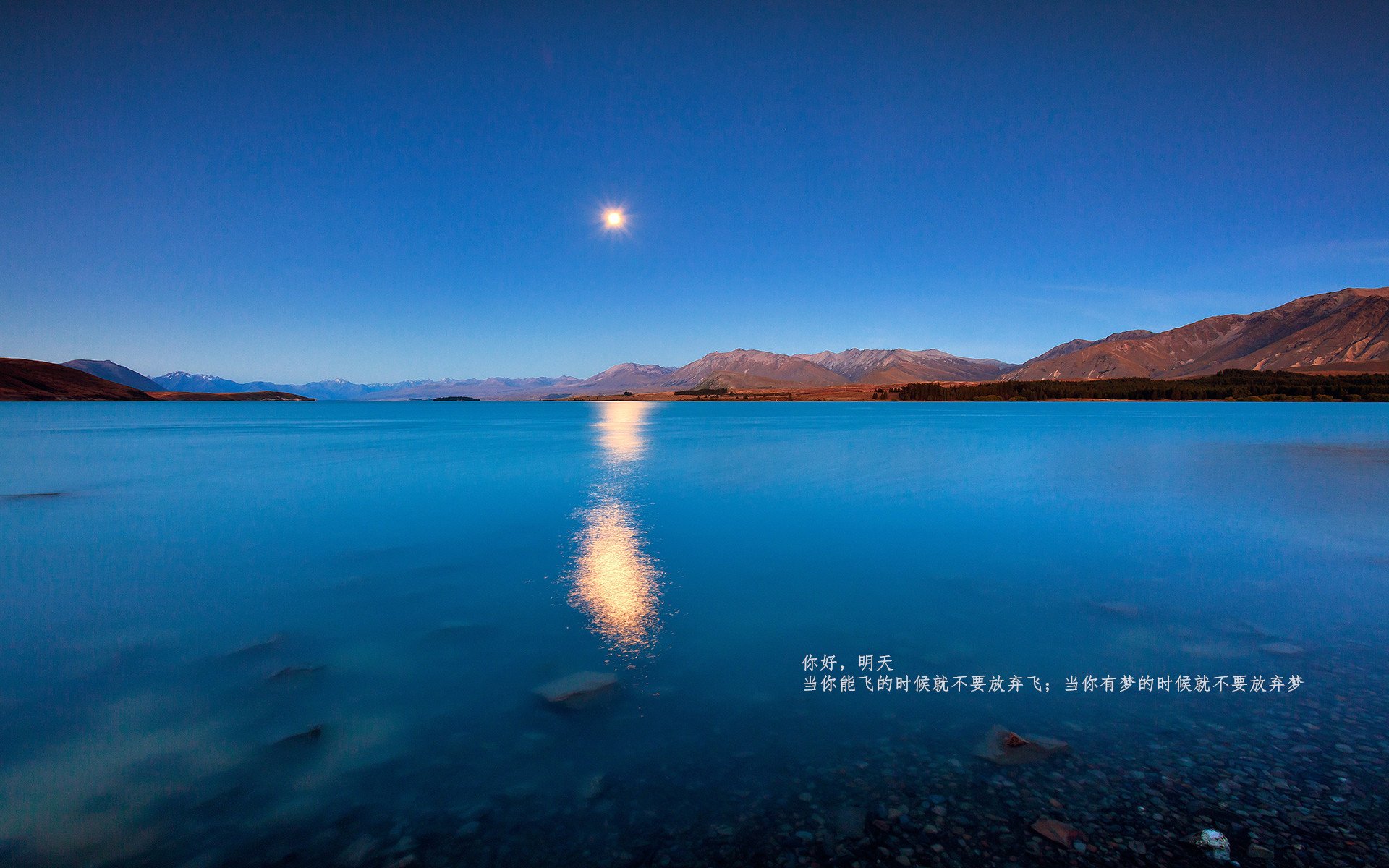 曼联1-1阿斯顿维拉,主场平局,曼联阿斯顿维拉免费直播