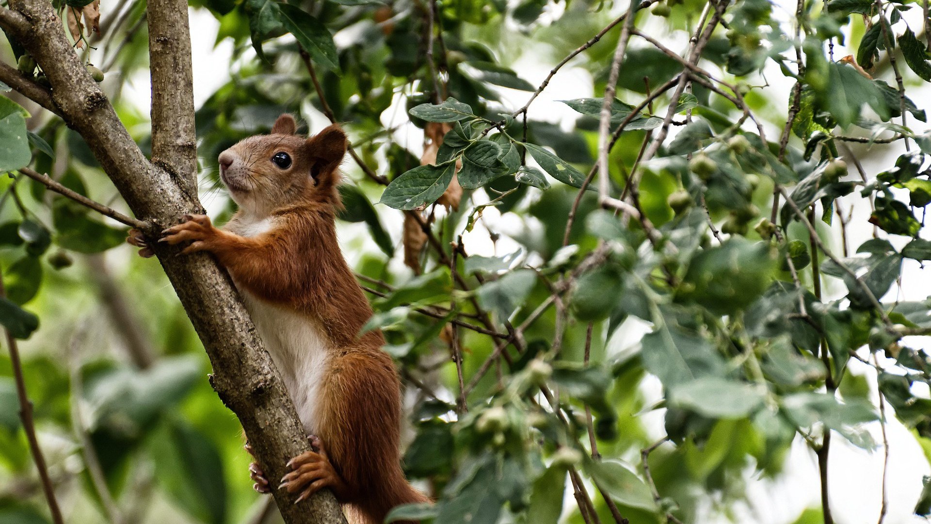 激烈对抗不断，场上气氛瞬间升温，激烈的对抗英文
