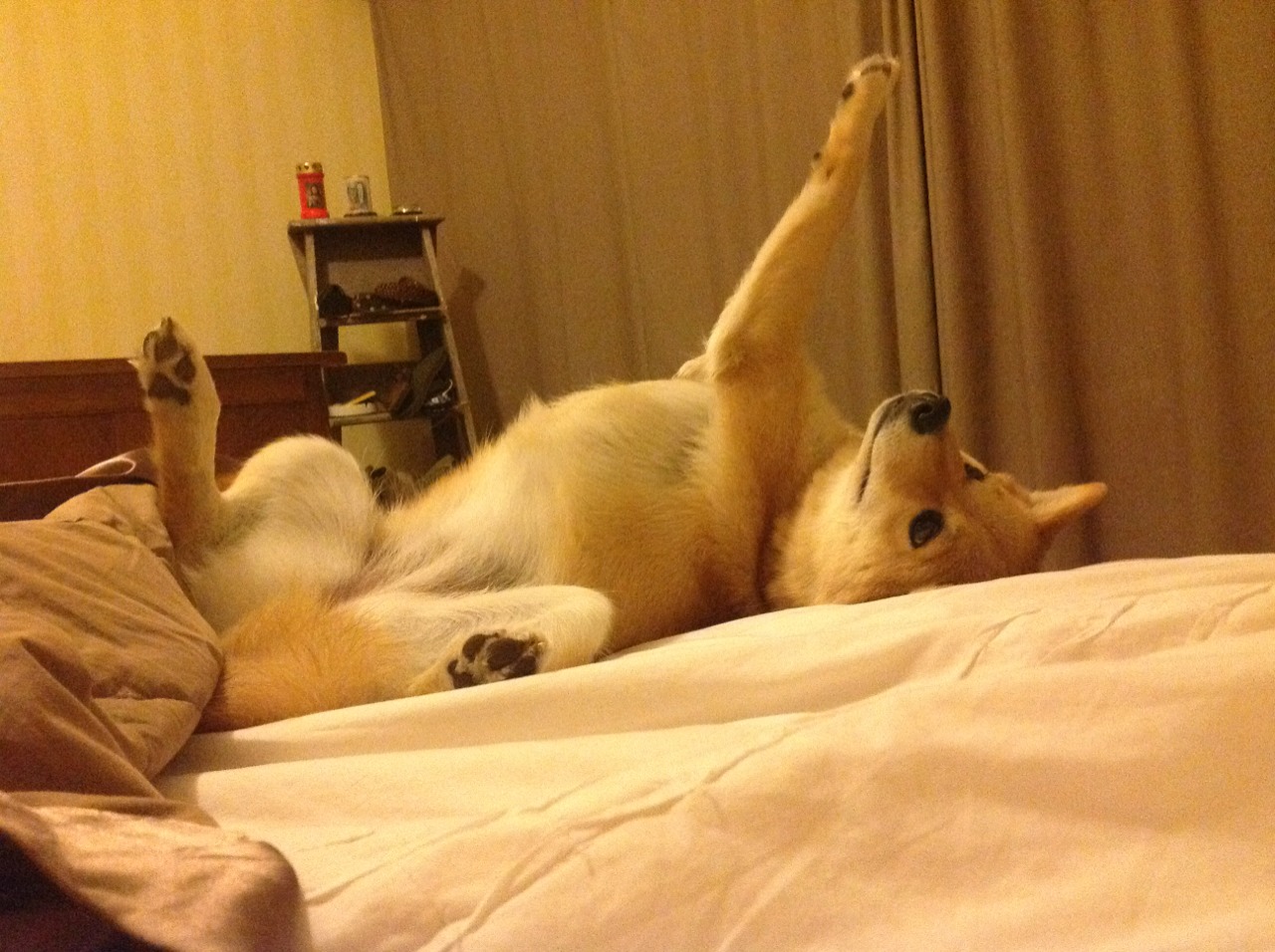 激烈对抗！两支劲旅将在球场上展开争夺，激烈对抗!两支劲旅将在球场上展开争夺