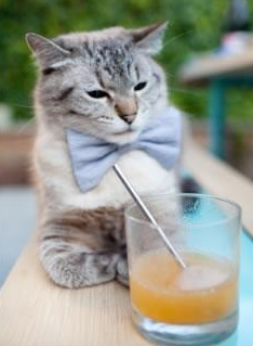 罗马客场爆冷负于都灵,主场连续不胜客场表现一般,罗马主场在哪