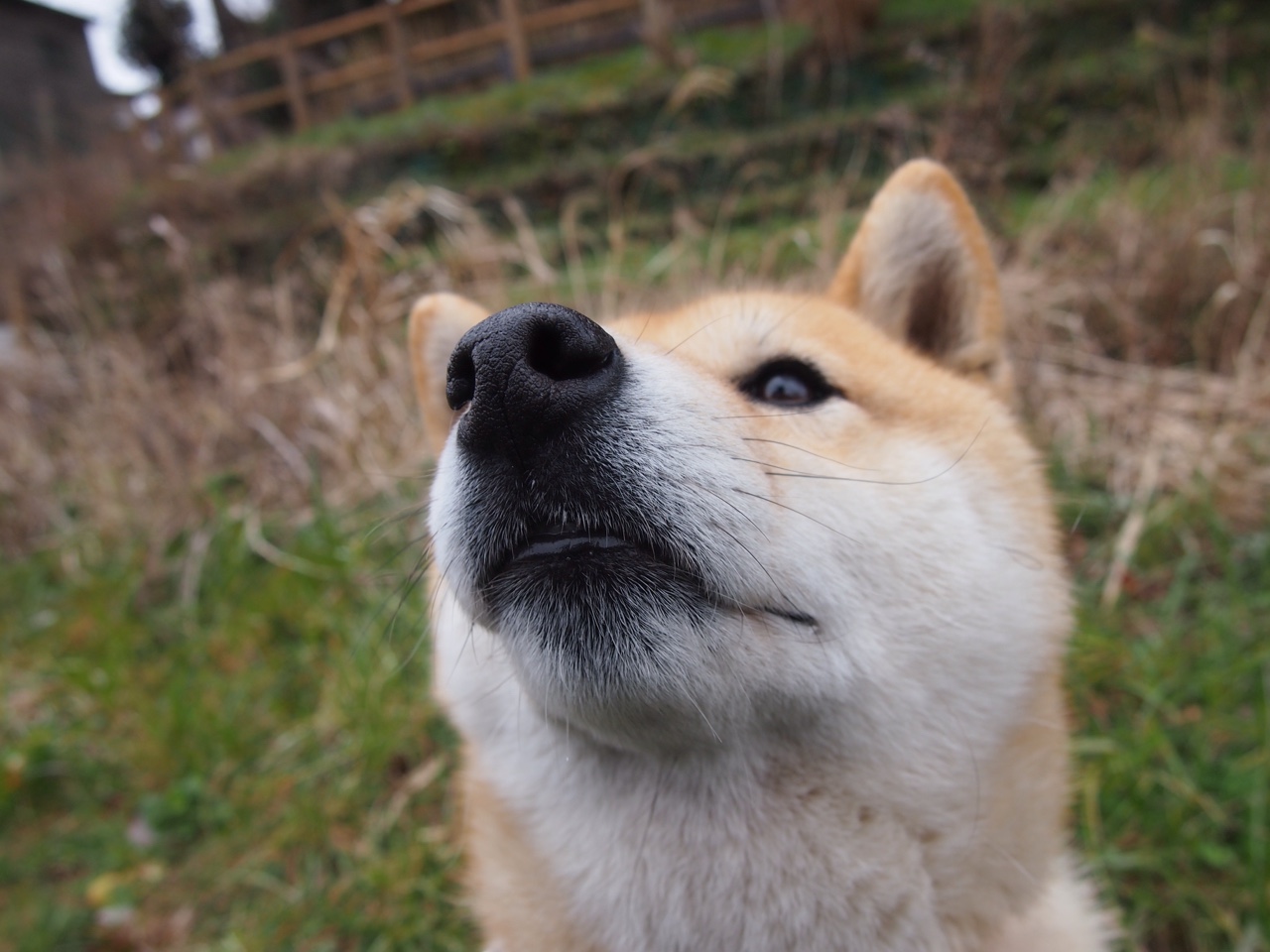 黑龙江队顽强拼搏,赢得胜利,黑龙江队顽强拼搏,赢得胜利的是谁