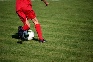 中国篮球职业联赛俱乐部青训体系建设及实践探索，职业篮球青年队