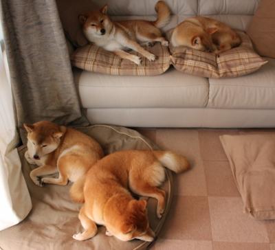 全国青少年山地车挑战赛在甘肃顺利结束，全国青少年自行车赛