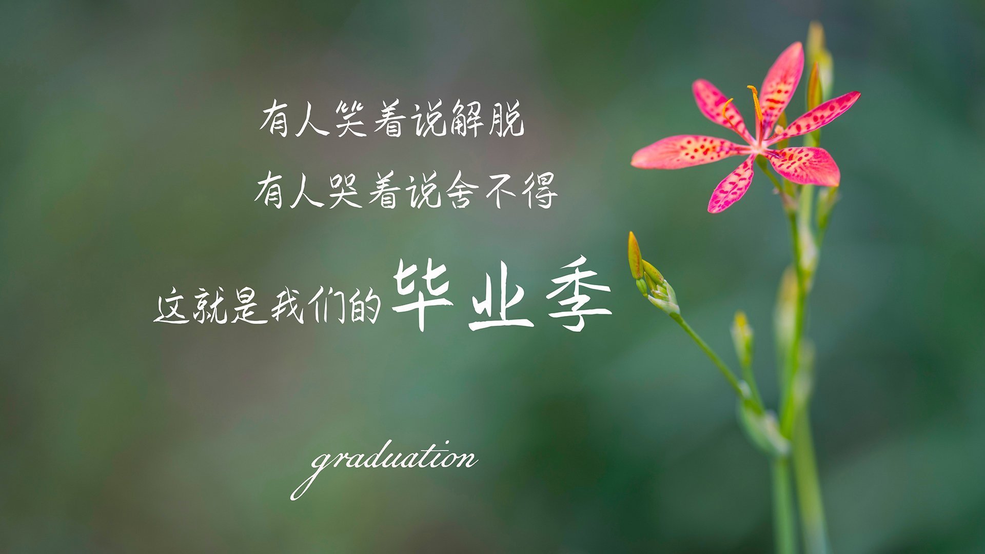 青少年足球普及:数字化平台推动青训全覆盖,青少年 足球