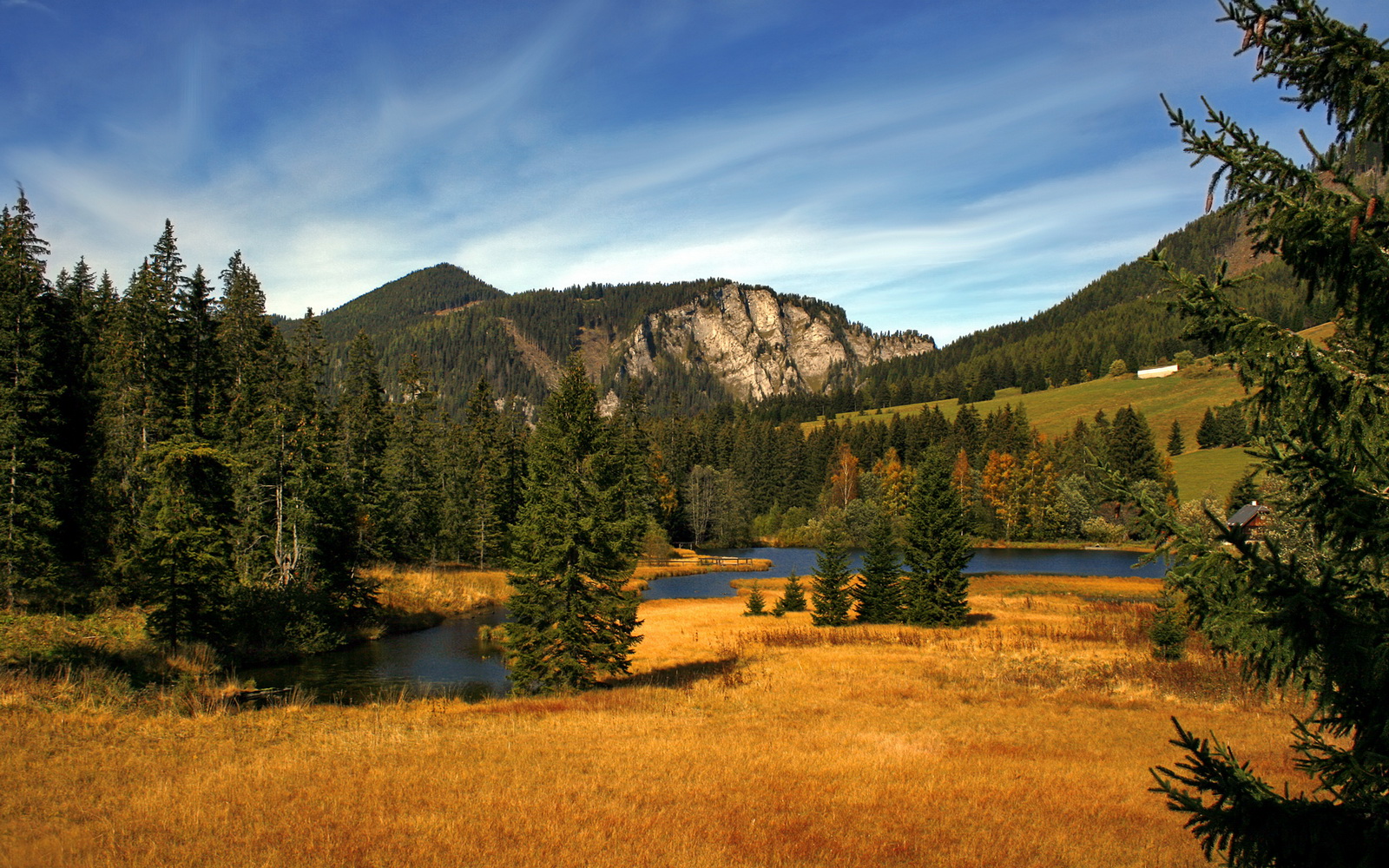 高校运动损伤风险评估模型构建,运动损伤风险筛查