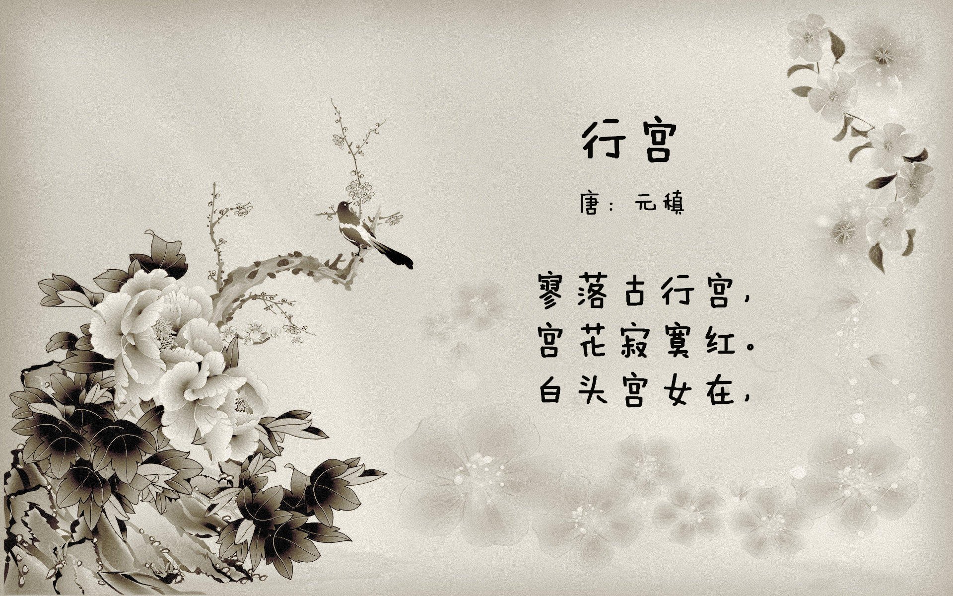 CBA赛季中期多场精彩比赛吸引大量观众，cba赛季中期多场精彩比赛吸引大量观众参加