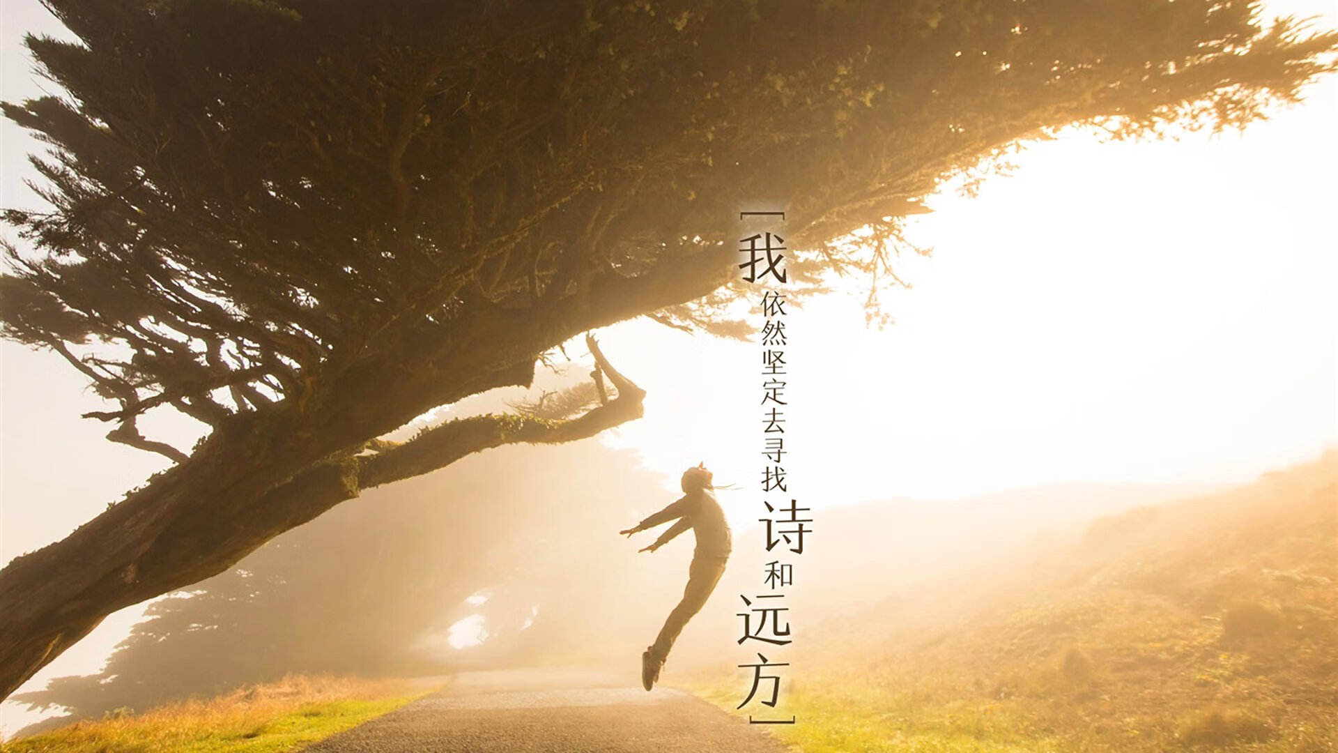 国家队主要组成来自国内俱乐部明星与年轻新秀，国家队队员都有谁