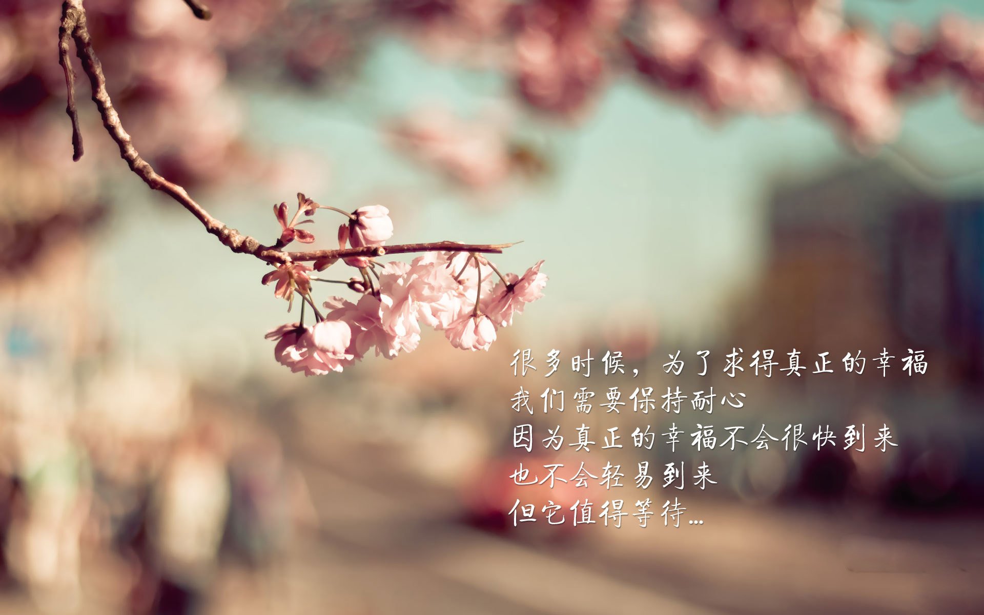 南非羚羊队的团队协作:进攻与防守配合默契,为胜利奠定基础,南非羚羊皮皮衣特点