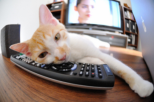 欧洲杯战术创新:布局多变,引爆全场!,欧洲杯技术分析